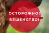 БЕШЕНСТВО – ЭТО ОПАСНО! (памятка)