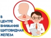 25 мая – Всемирный день заболеваний щитовидной железы