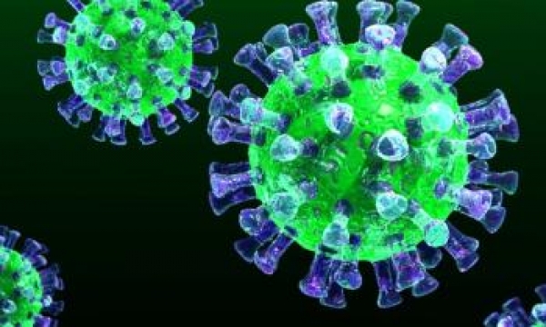 Памятка для лиц, прибывших из стран, в которых регистрировались случаи инфекции, вызванной коронавирусом 2019-nCoV