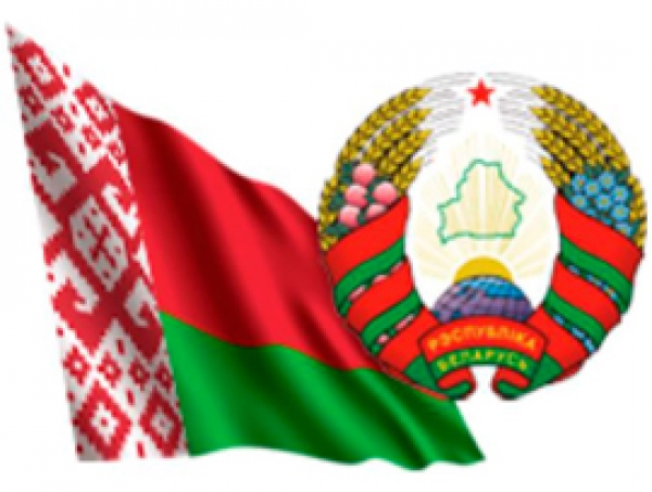 Выборы 2019