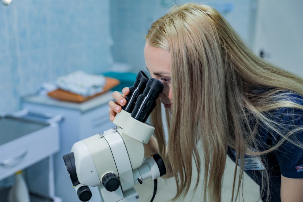 photo_5291891680452138036_w